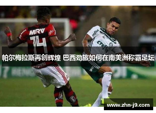 帕尔梅拉斯再创辉煌 巴西劲旅如何在南美洲称霸足坛 帕尔梅拉斯再创辉煌 巴西劲旅如何在南美洲称霸足坛