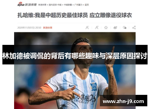 林加德被调侃的背后有哪些趣味与深层原因探讨 林加德被调侃的背后有哪些趣味与深层原因探讨