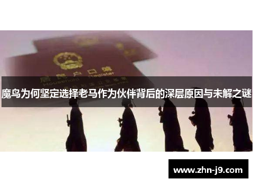 魔鸟为何坚定选择老马作为伙伴背后的深层原因与未解之谜 魔鸟为何坚定选择老马作为伙伴背后的深层原因与未解之谜